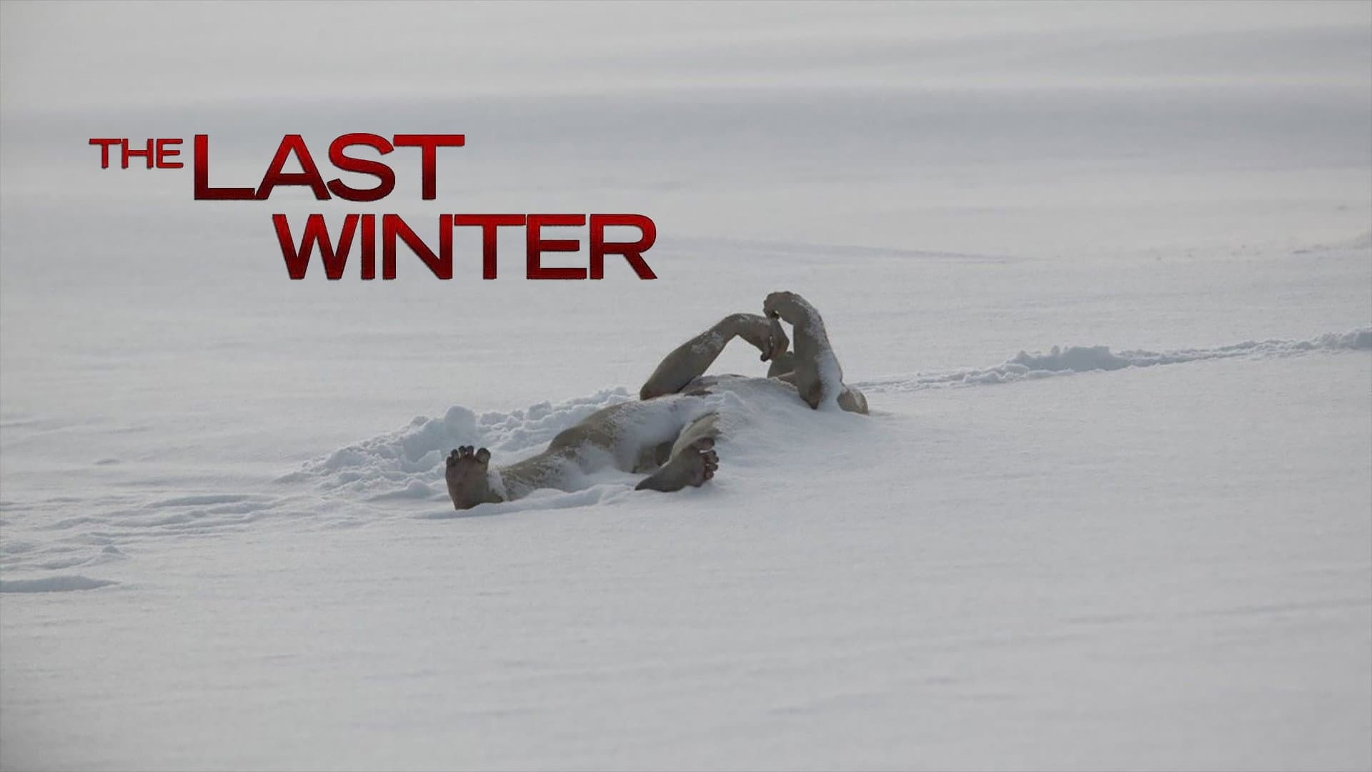 The Last Winter - immagine
