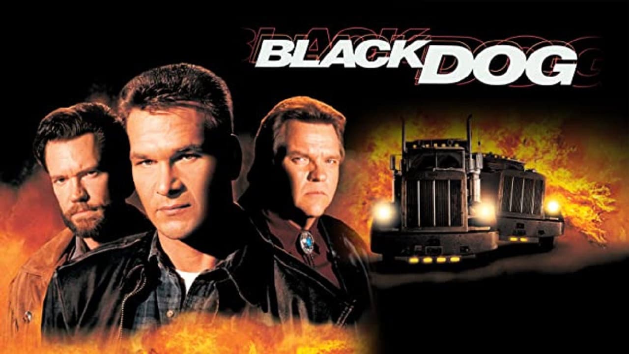 Black Dog - immagine