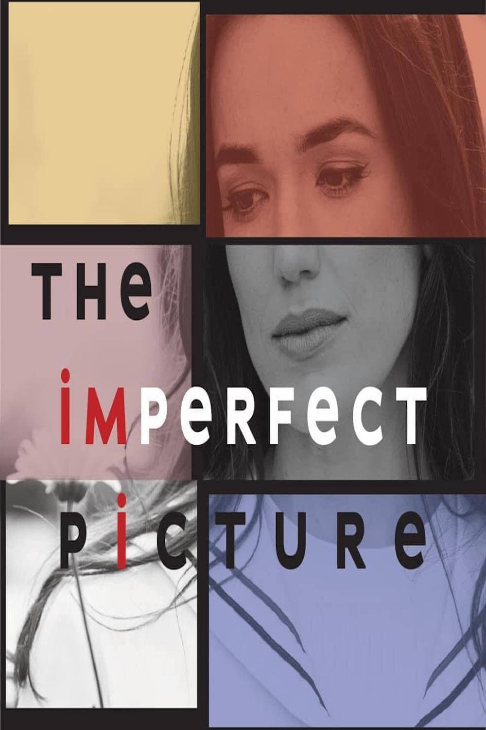 Poster di The Imperfect Picture