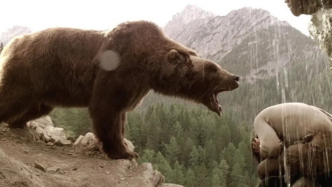 L'orso - immagine