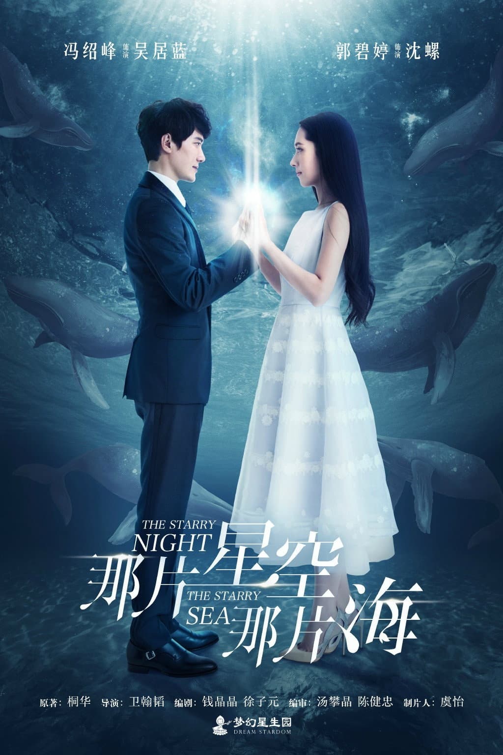 Poster di 那片星空那片海