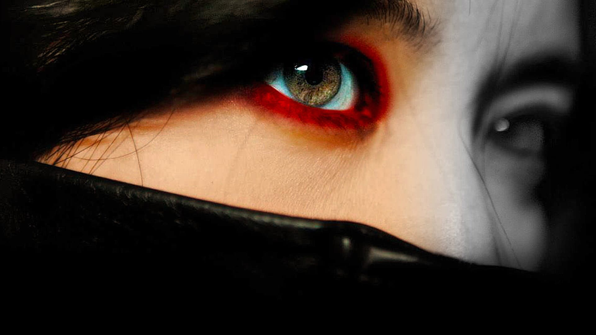 Lady Vendetta - immagine