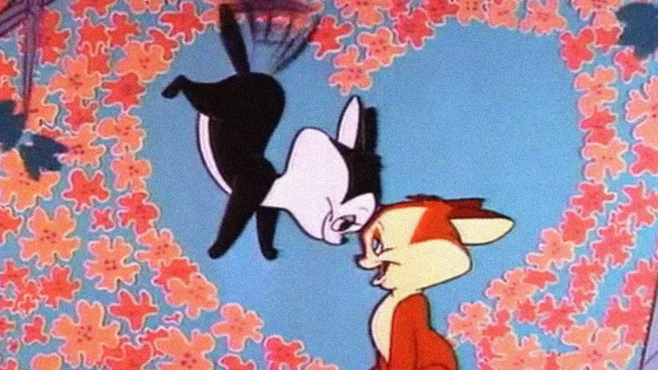 L'aviogatto - immagine