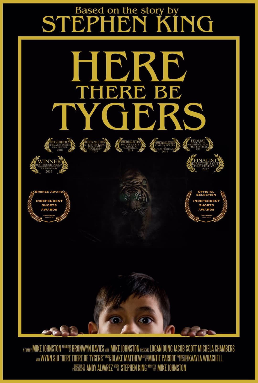 Poster di Here There Be Tygers