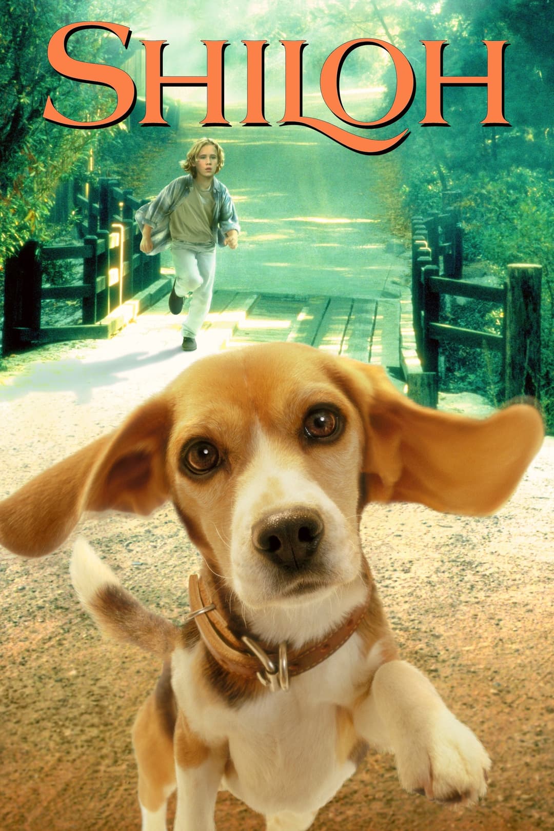 Poster di Shiloh, un cucciolo per amico