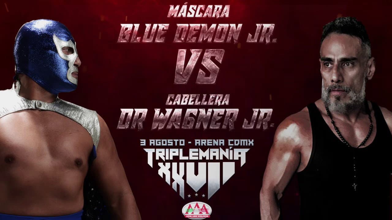 AAA Triplemania XXVII - immagine