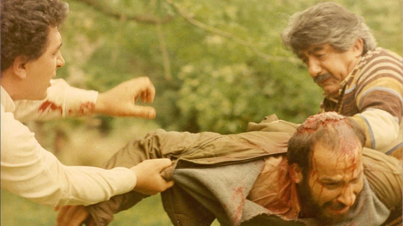 خانه عنکبوت - immagine