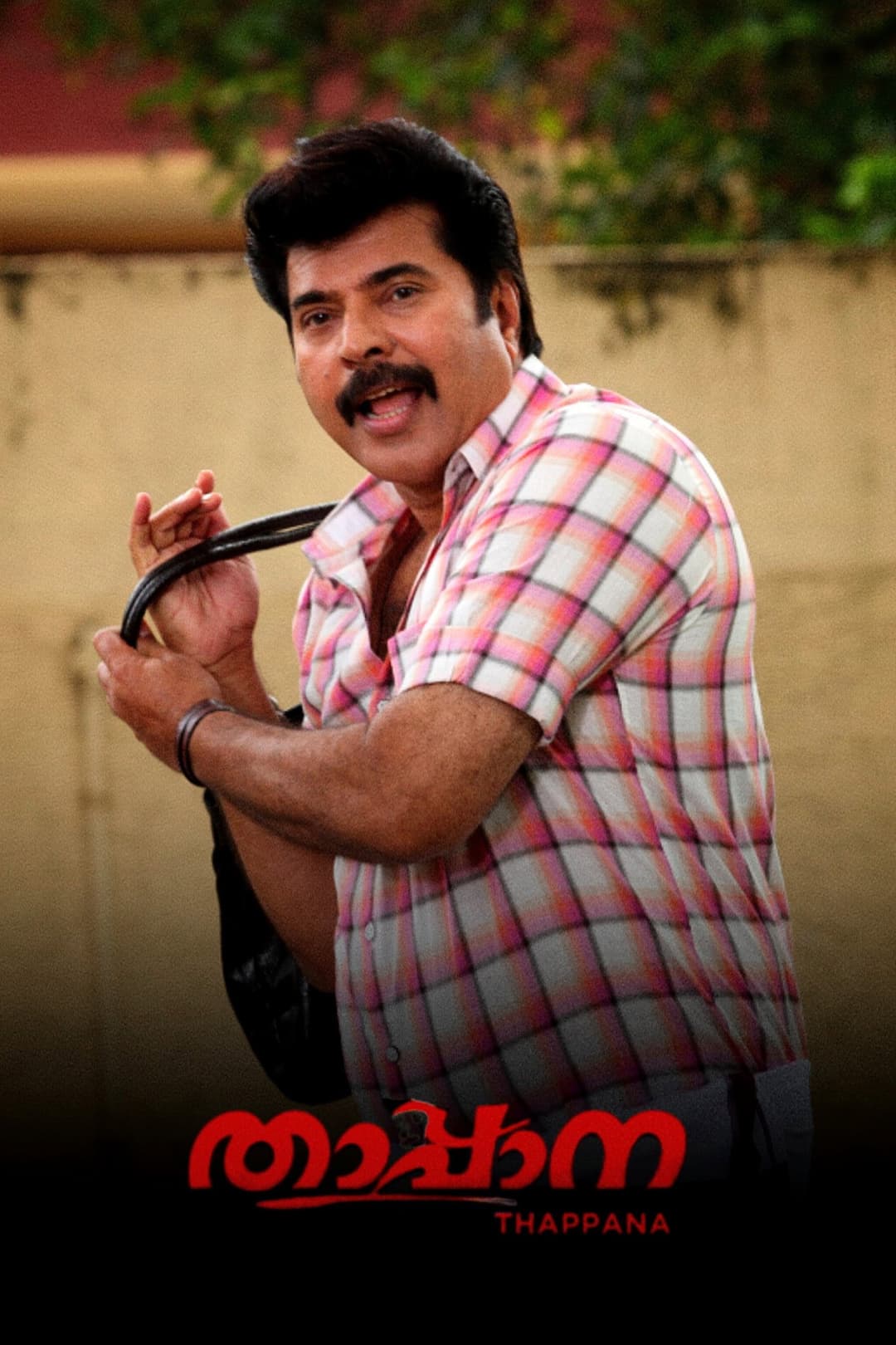 Poster di താപ്പാന
