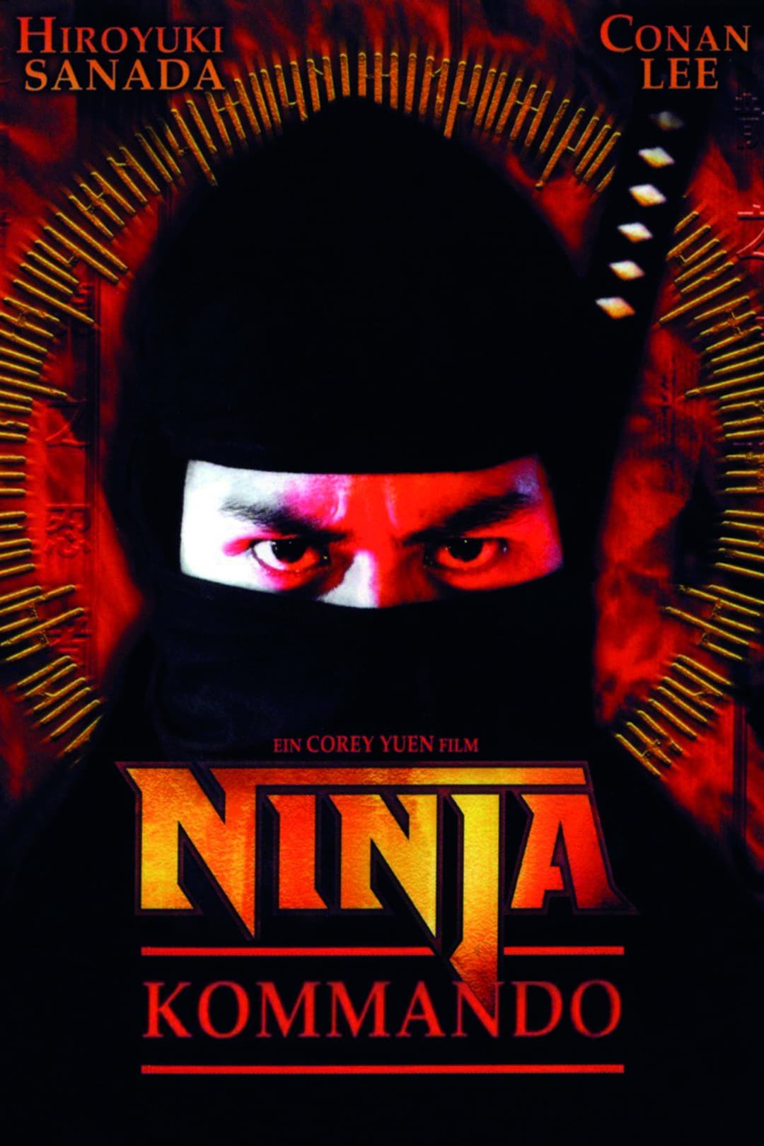 Poster di 龍之忍者