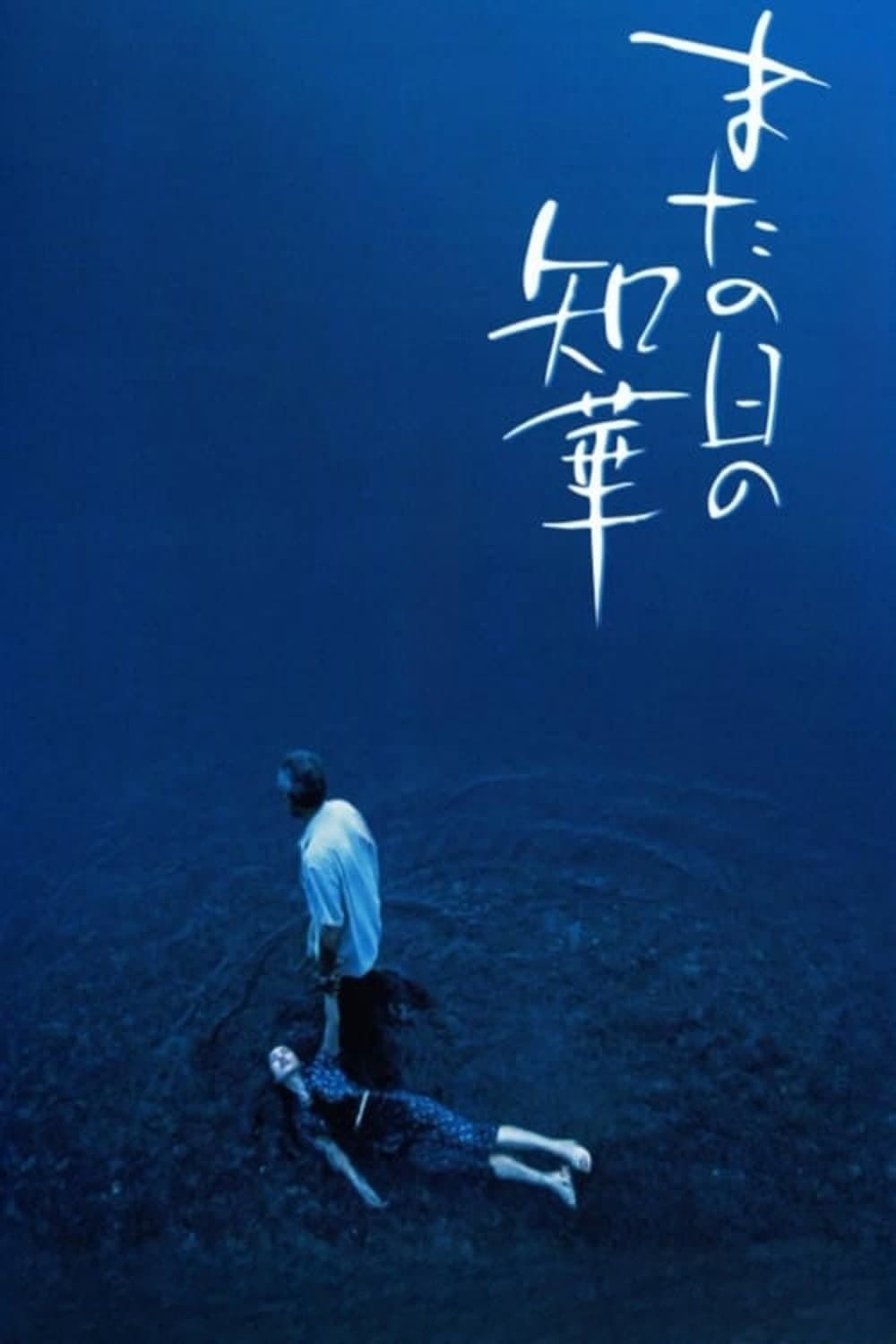 Poster di またの日の知華