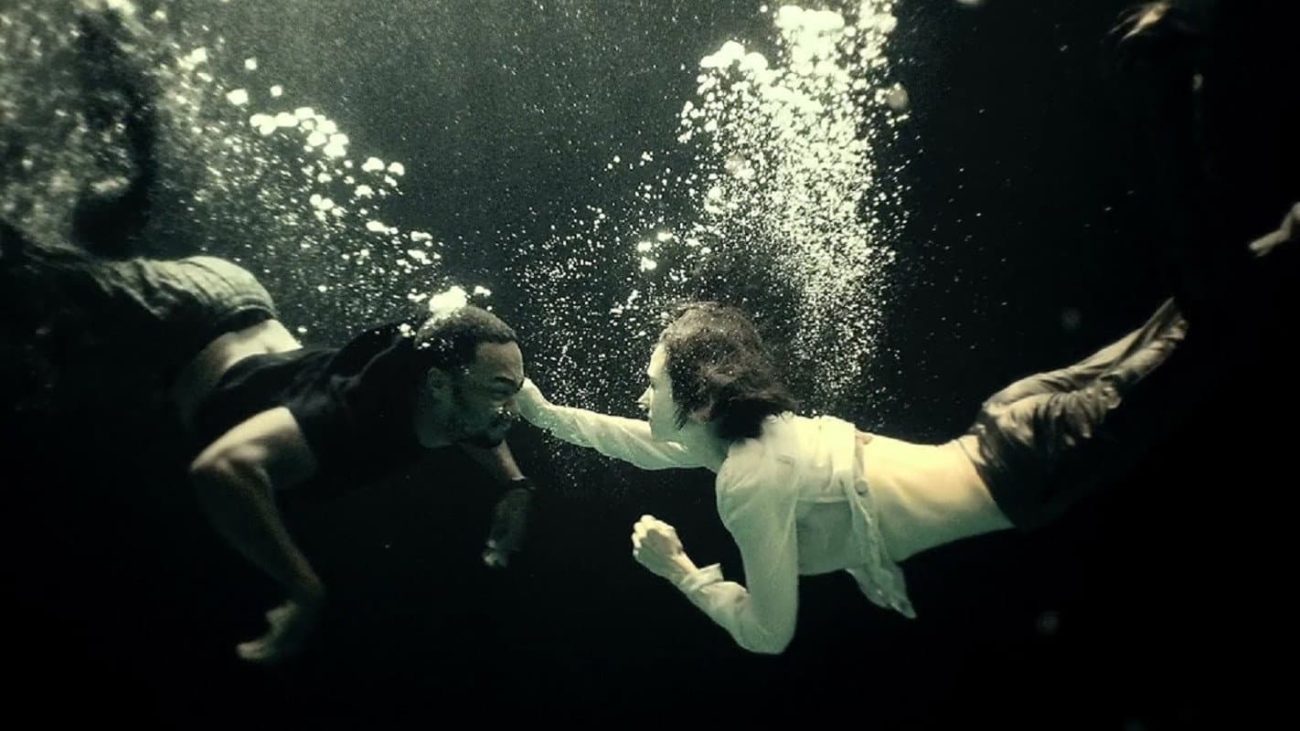 Shelter - immagine