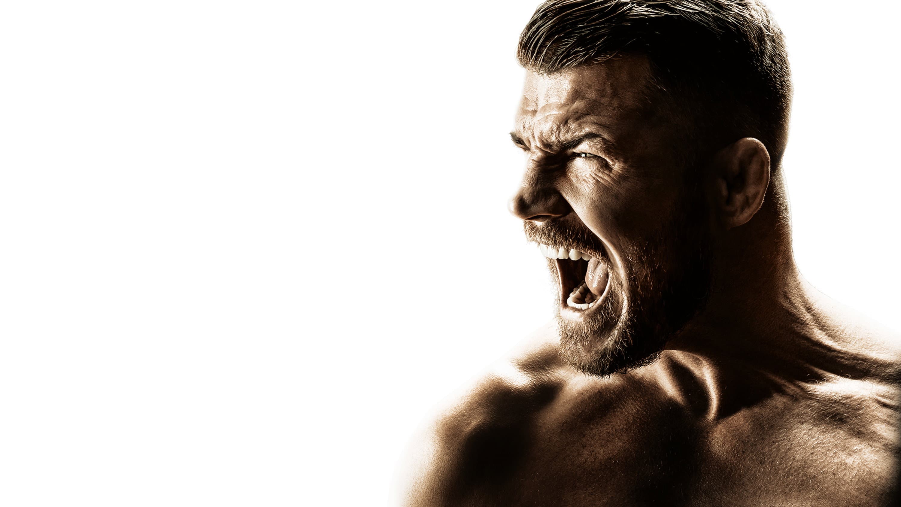 Bisping - immagine
