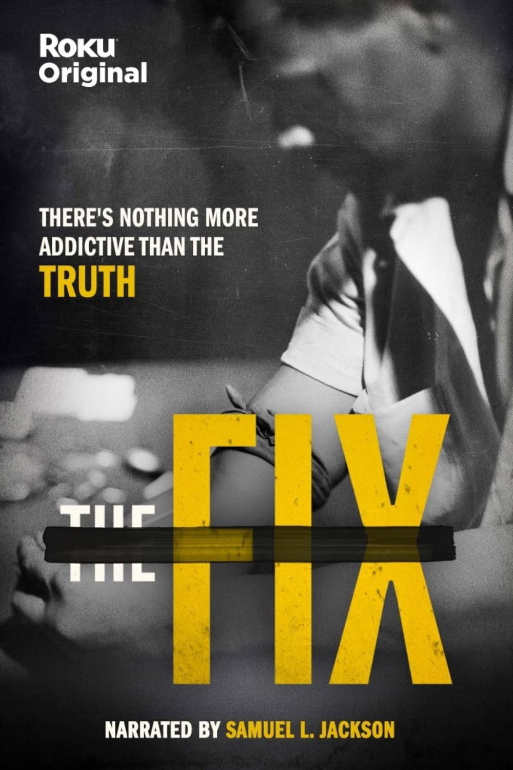 Poster di The Fix