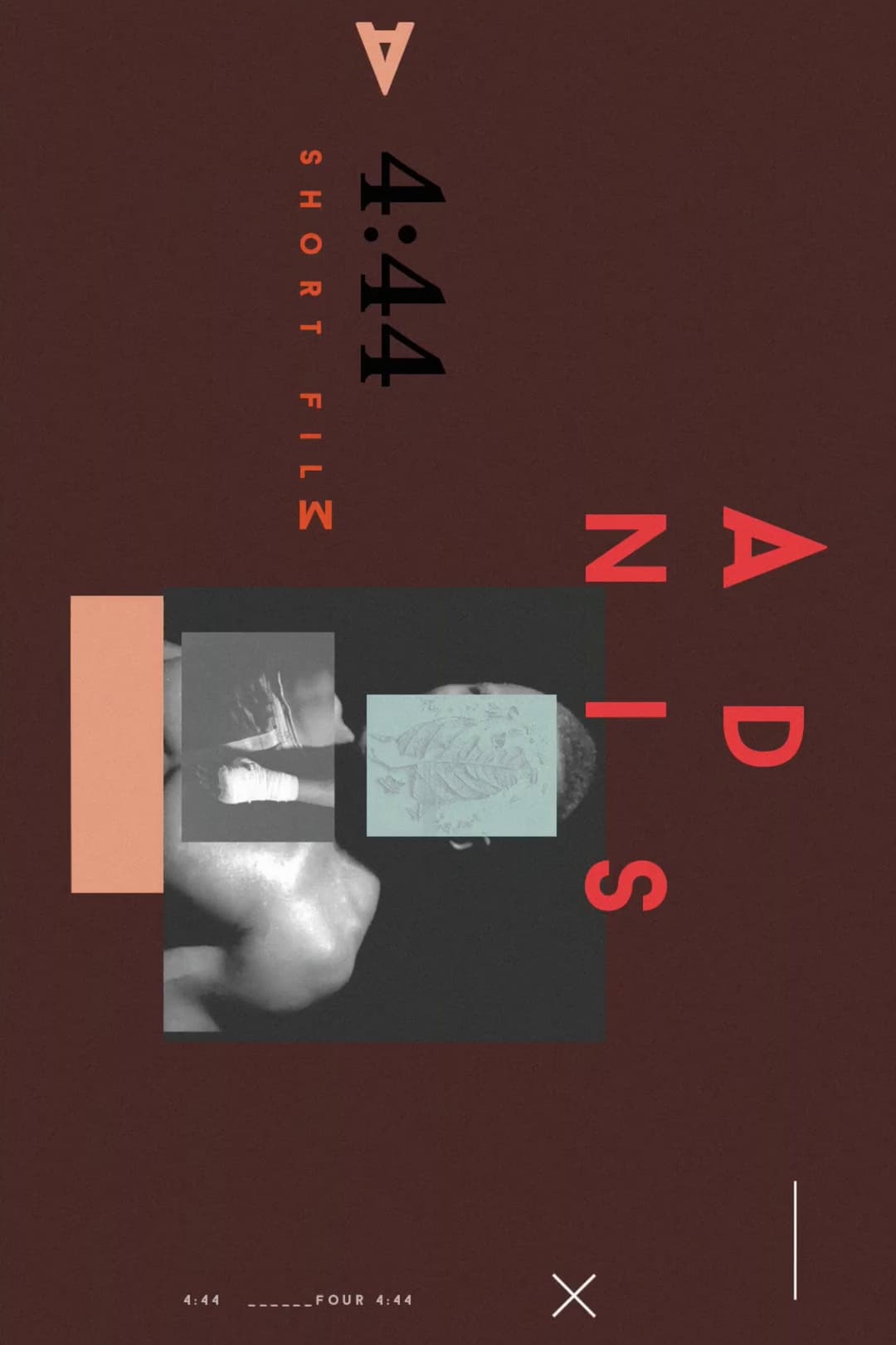 Poster di Adnis