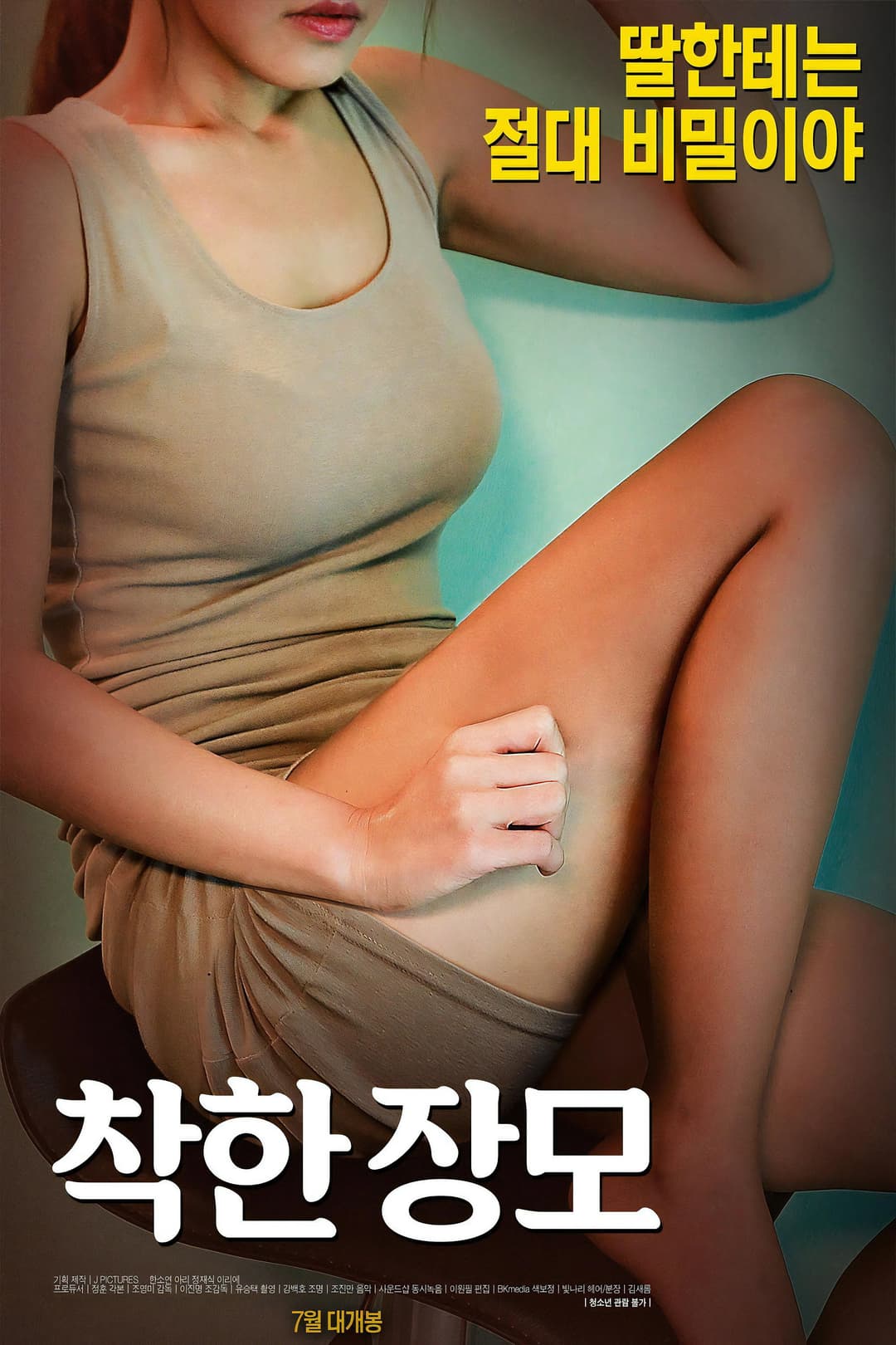 Poster di 착한 장모