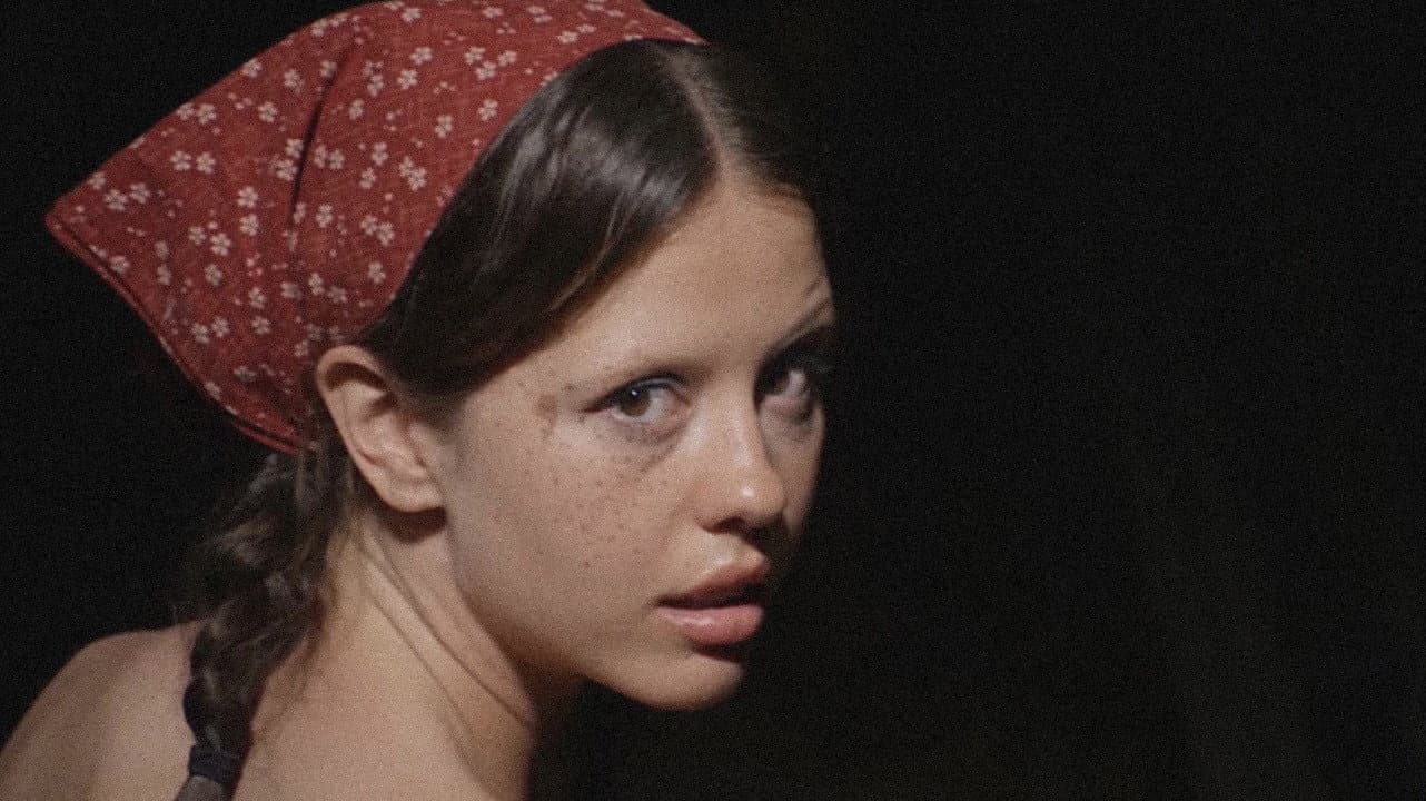The Farmer's Daughters - immagine