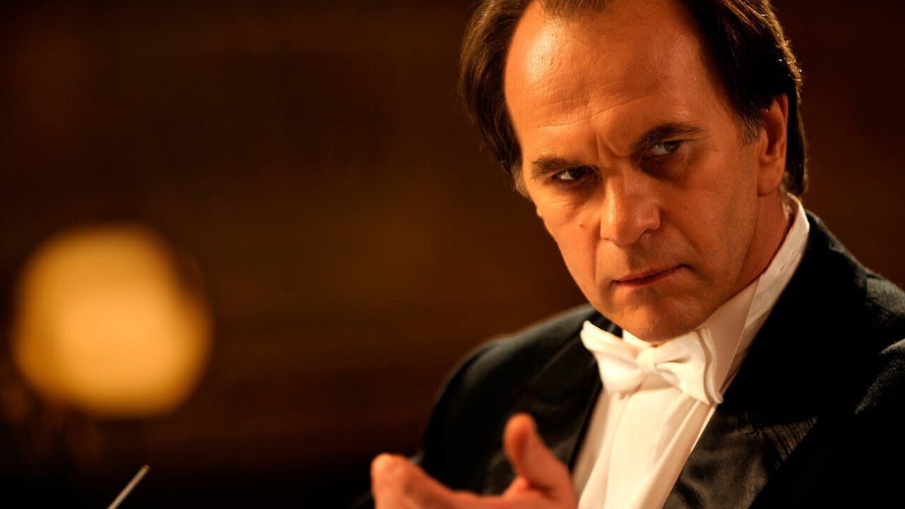 Il concerto - immagine