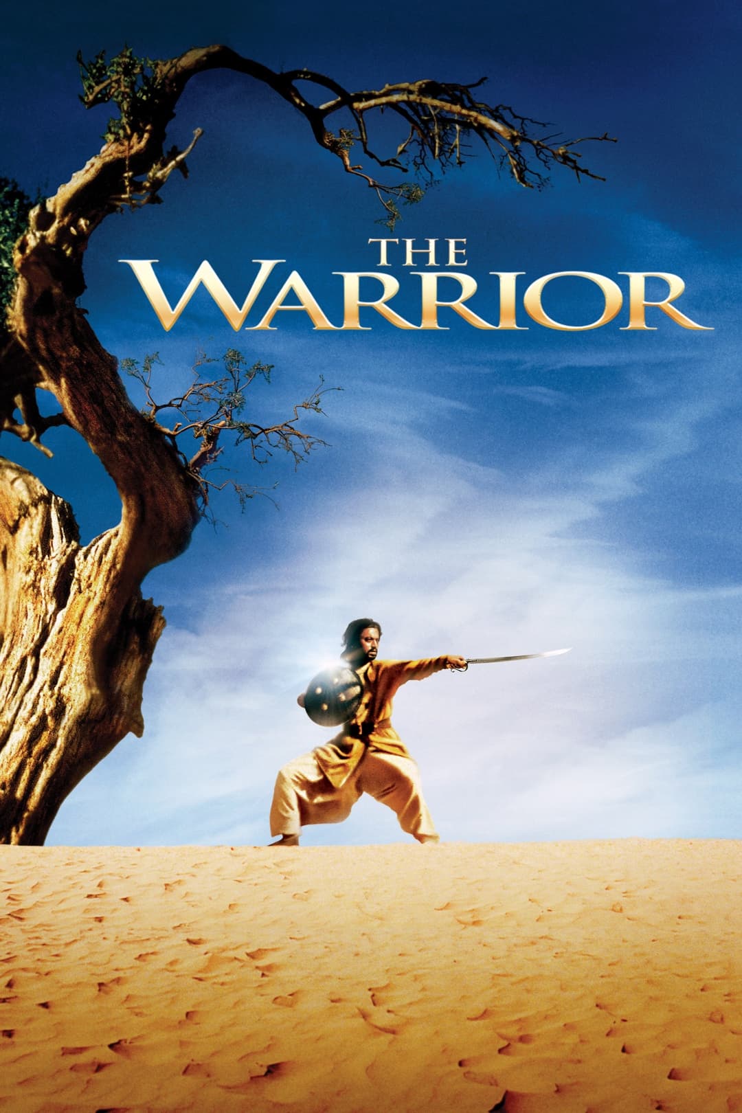 Poster di The Warrior