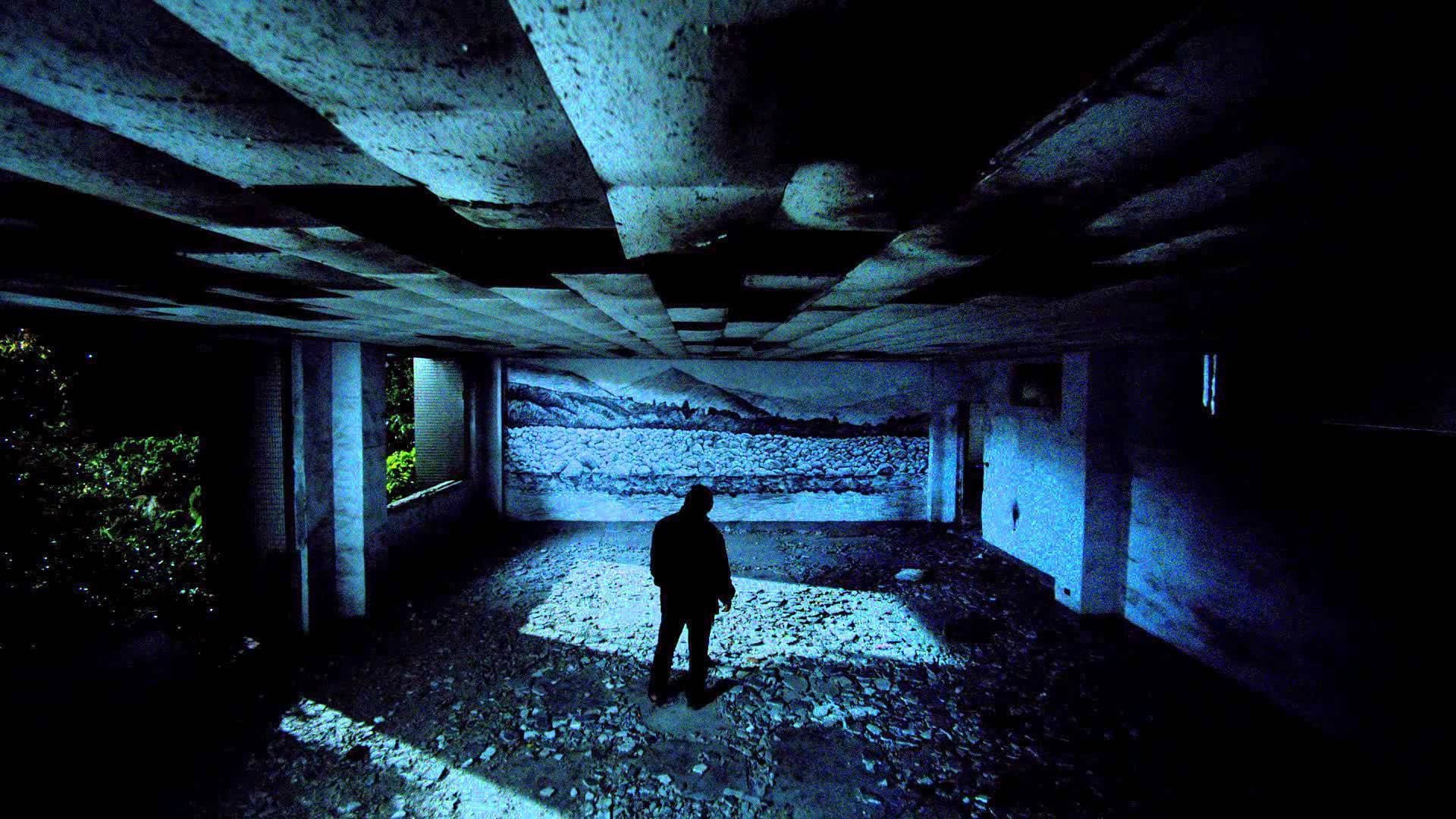 Stray Dogs - immagine