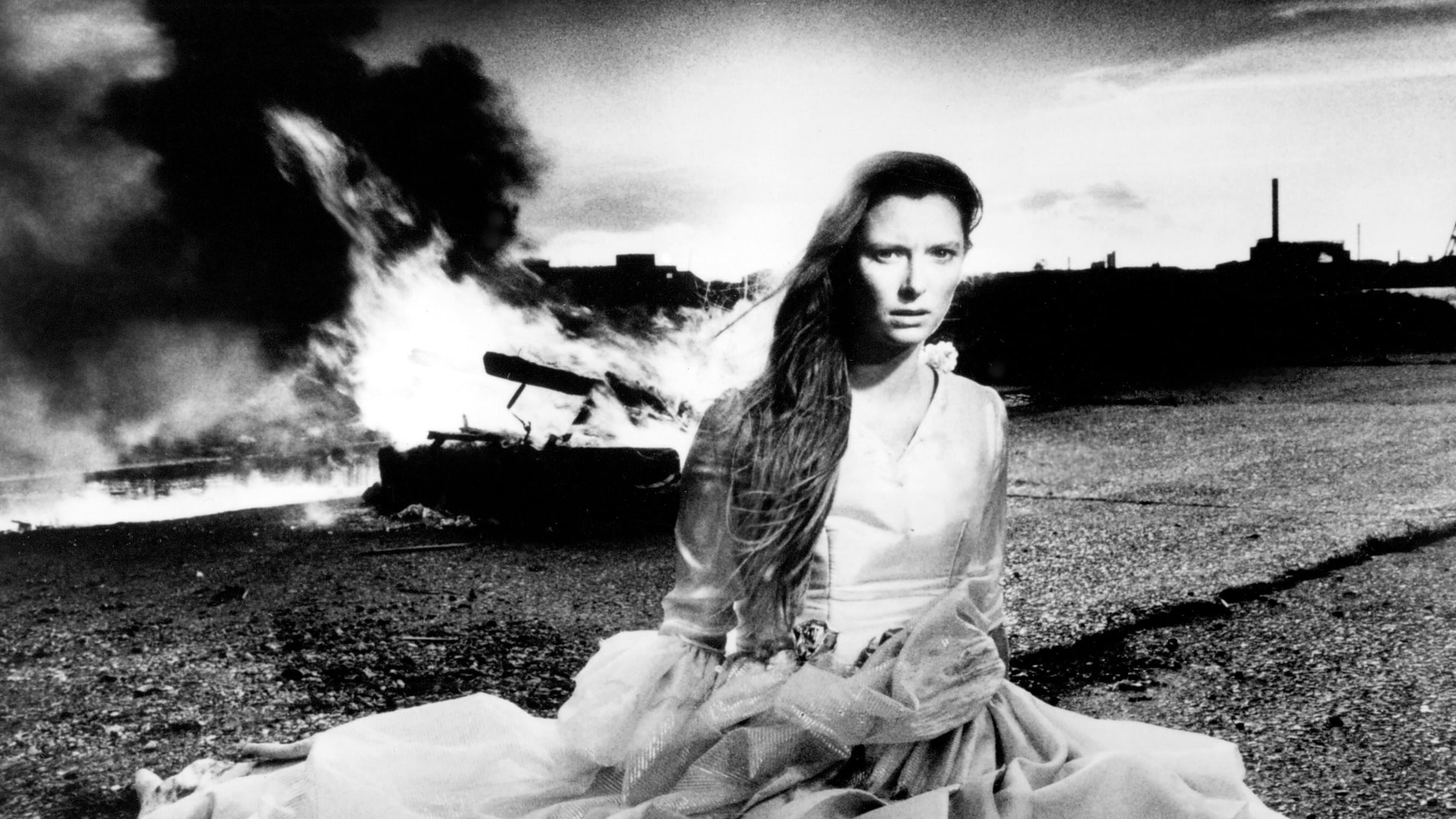 The Last of England - immagine