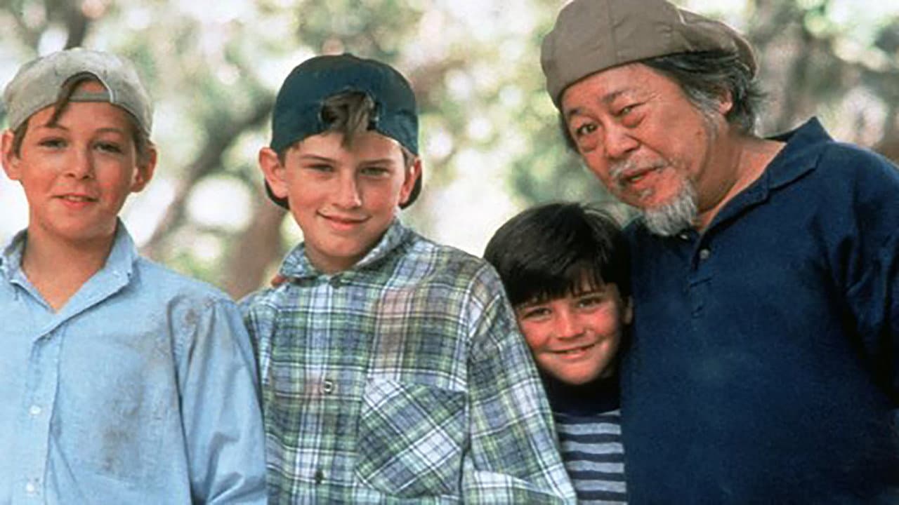 Il ritorno dei Mini-Ninja - immagine