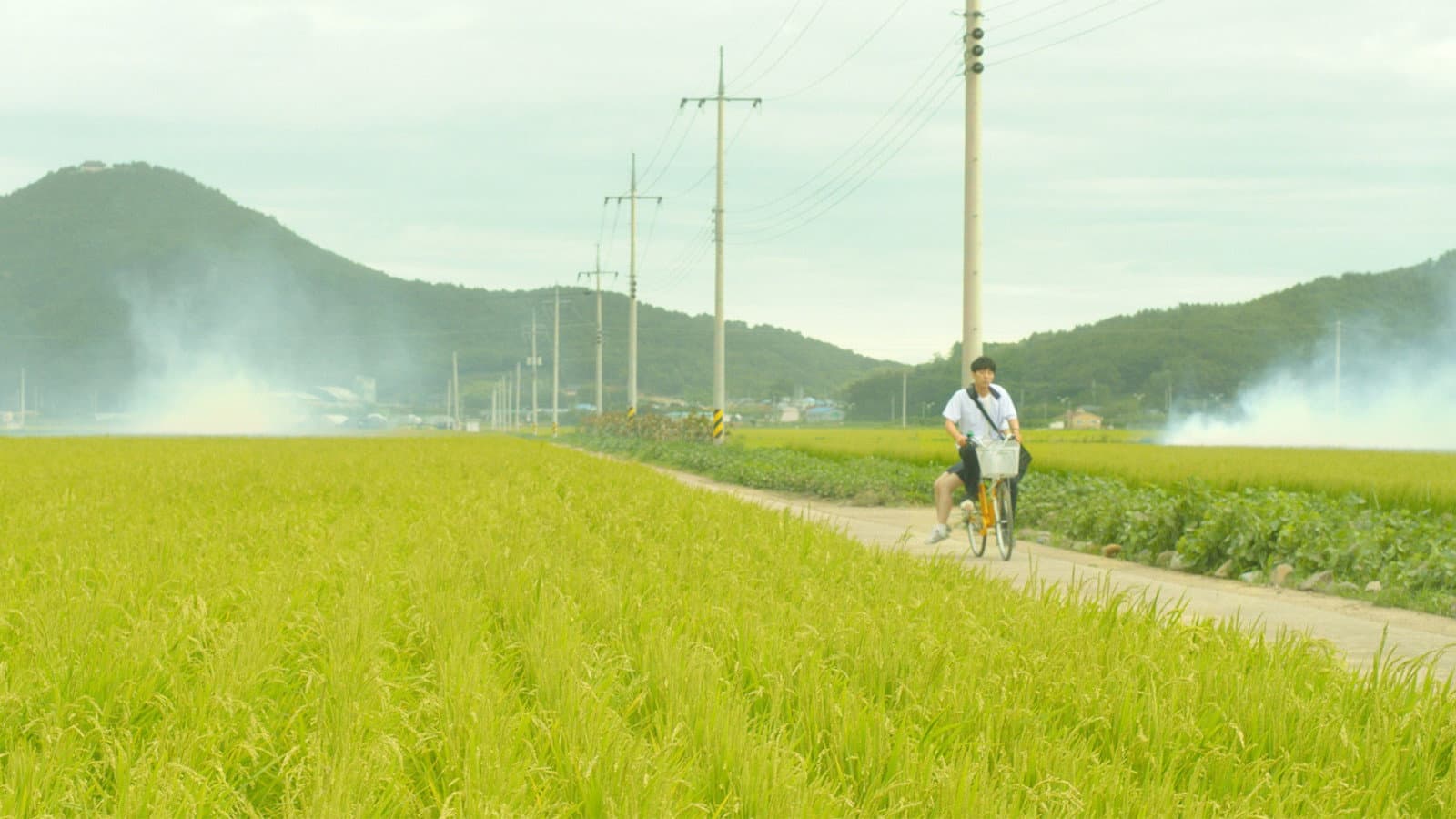 가슴의 문을 두드려도 - immagine