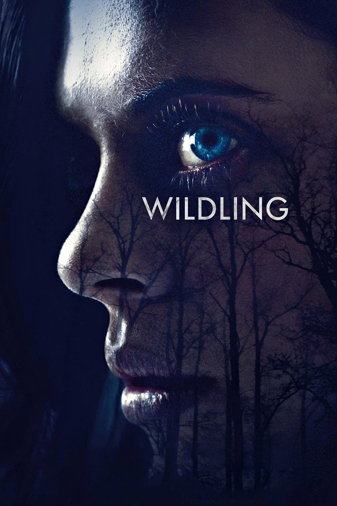 Poster di Wildling
