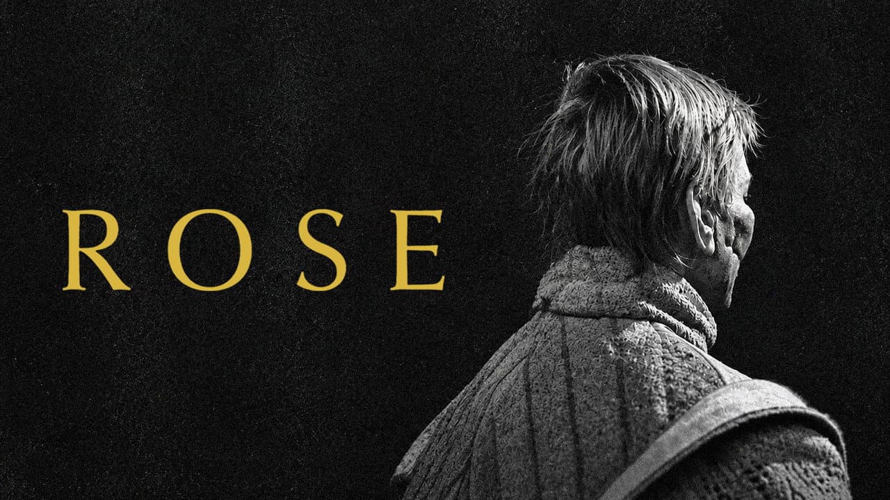 Rose - immagine