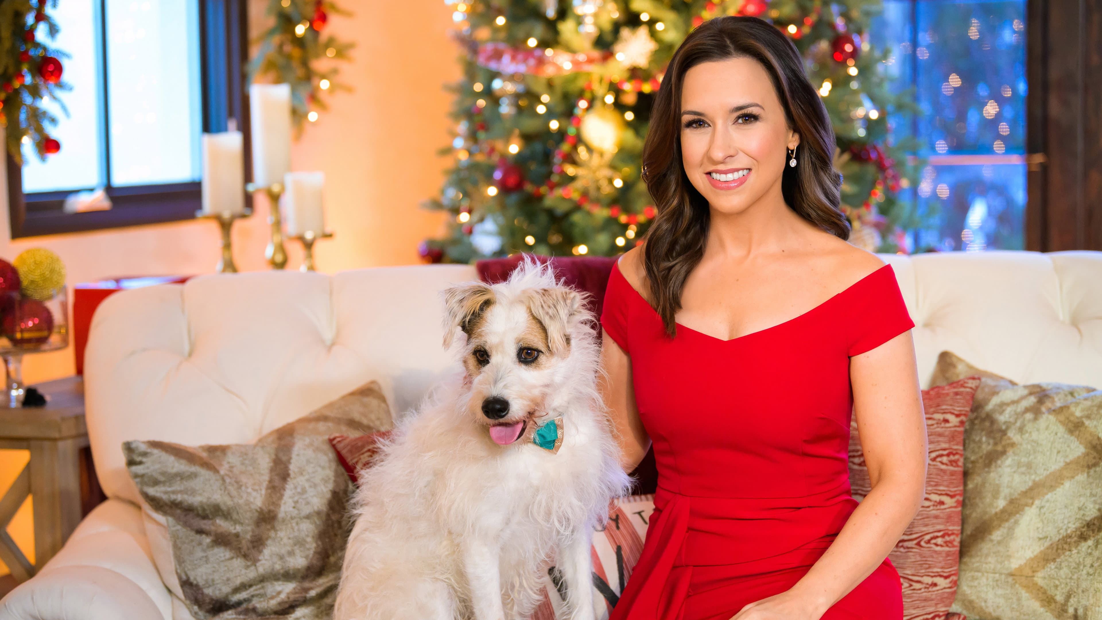 Hallmark Channel's Christmas Concert - immagine