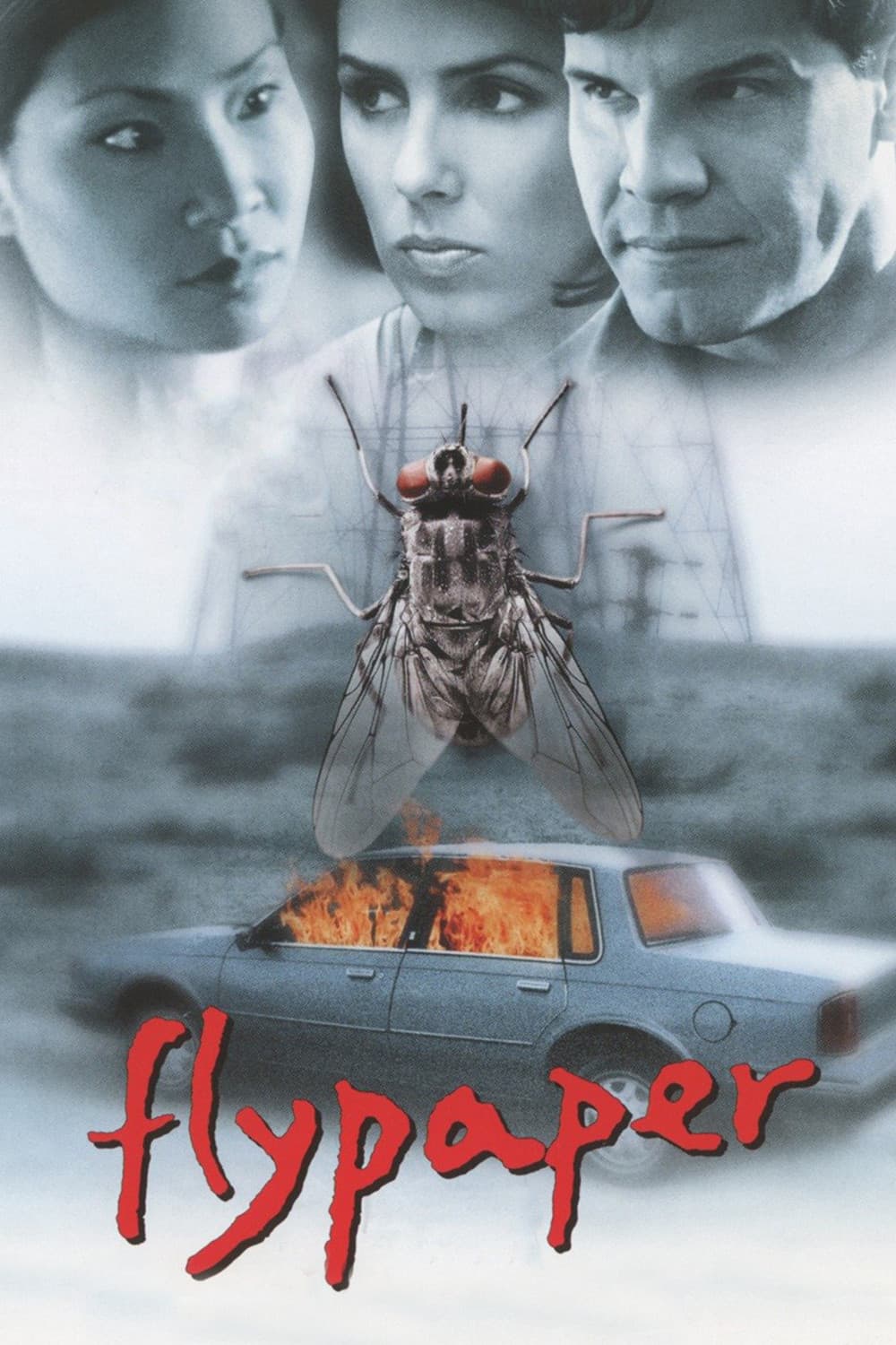 Poster di Flypaper