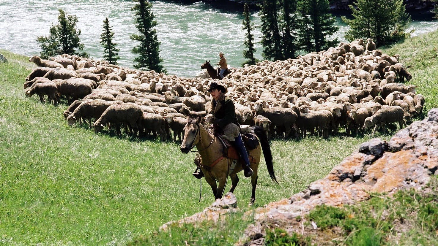 I segreti di Brokeback Mountain - immagine