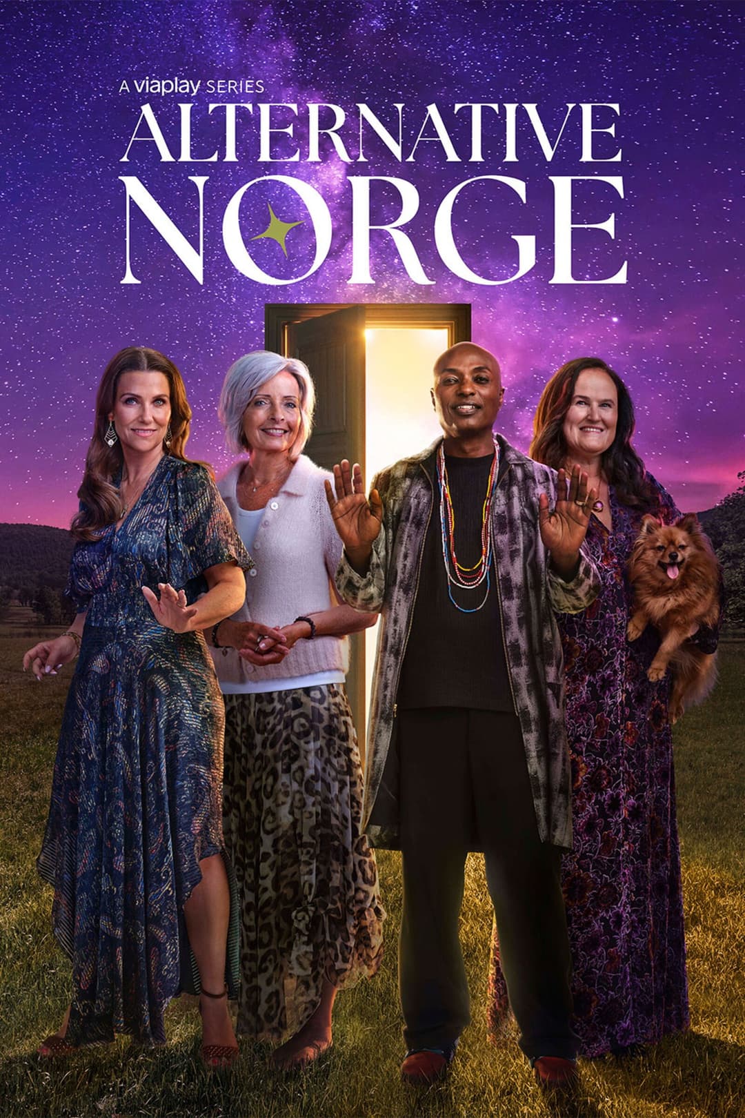 Poster di Alternative Norge