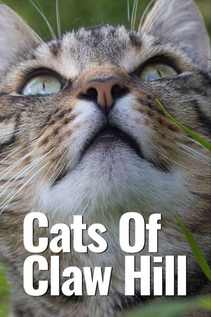 Poster di Desperate House Cats
