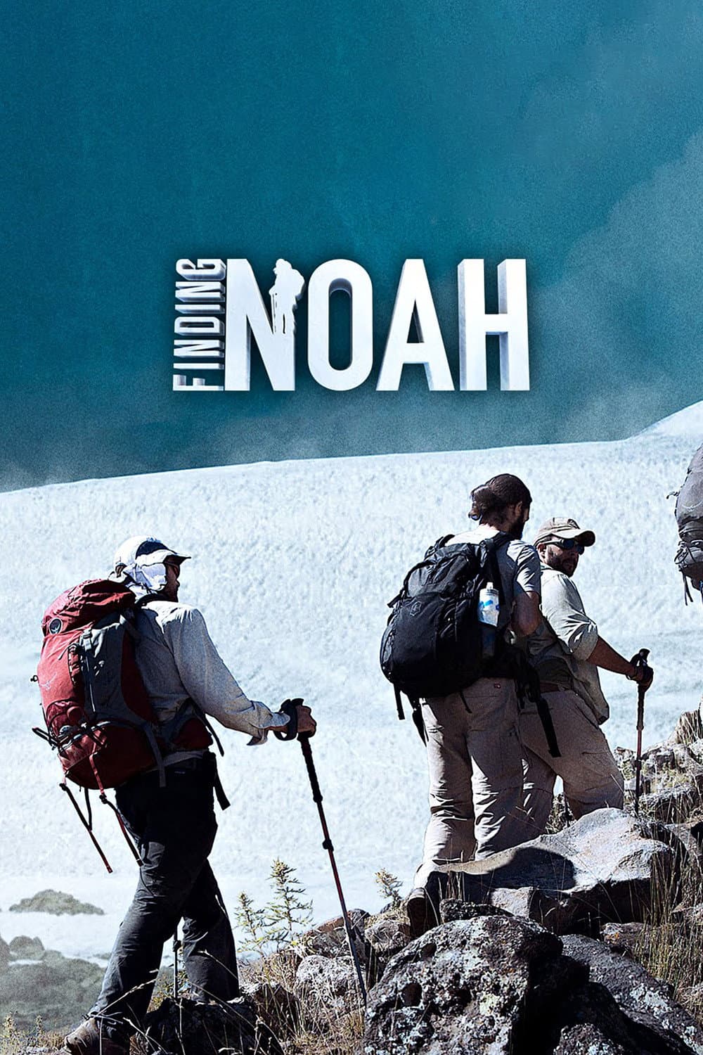 Poster di Finding Noah