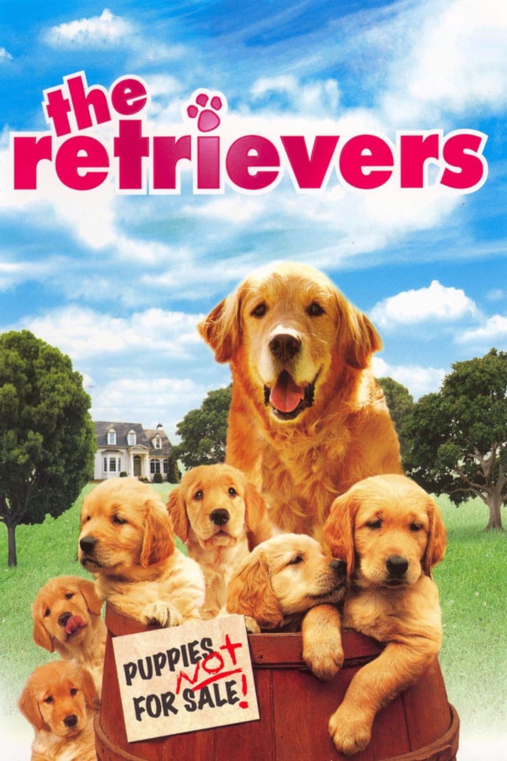 Poster di Sei cuccioli in cerca d'amore