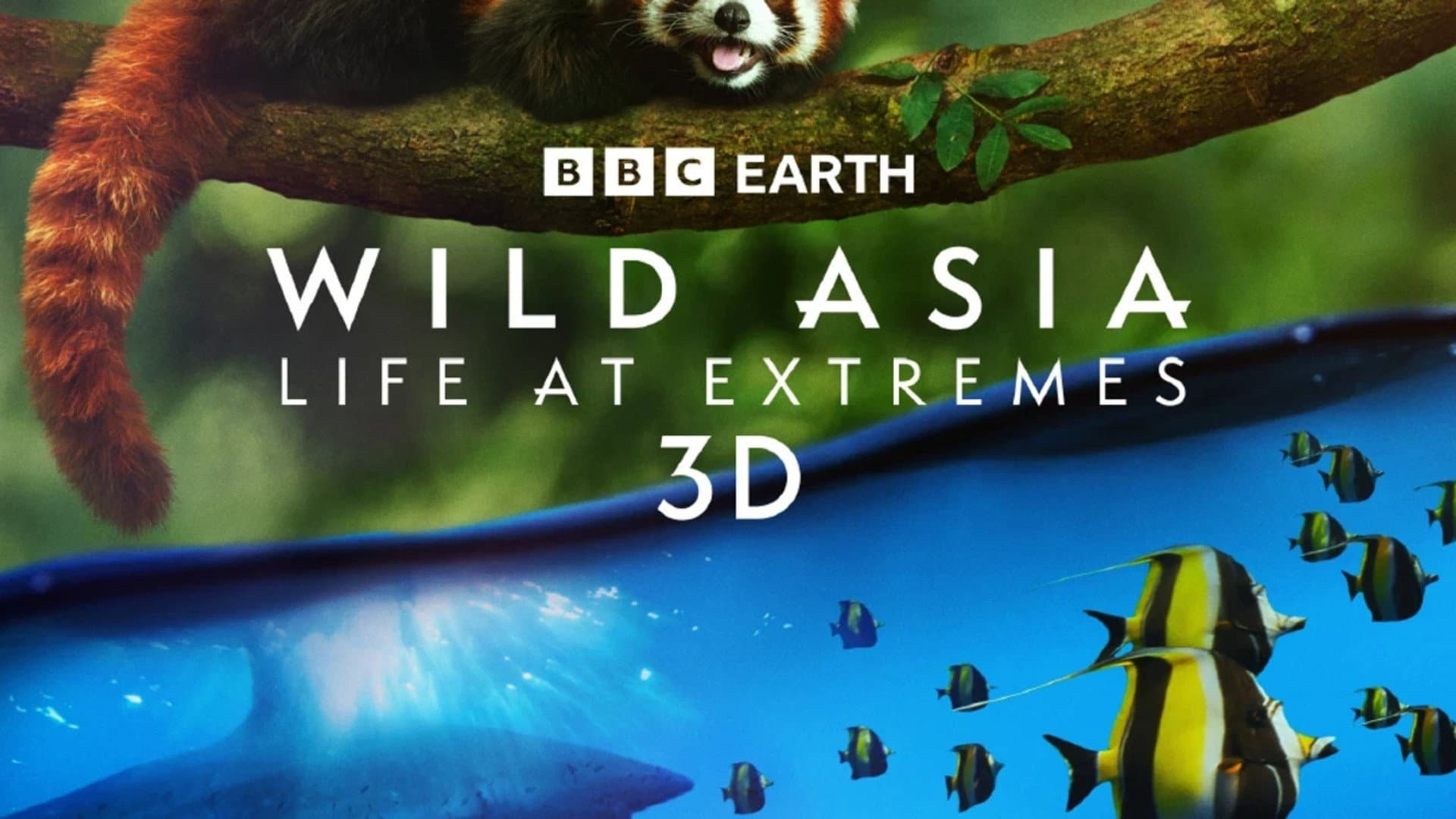 Wild Asia: Life at Extremes - immagine