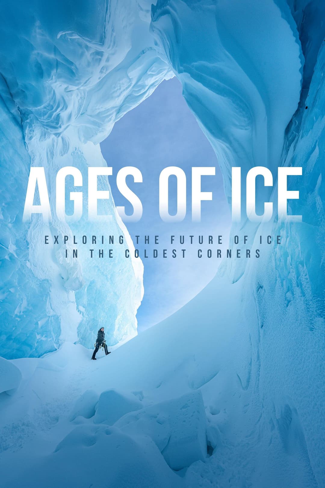 Poster di Ages of Ice