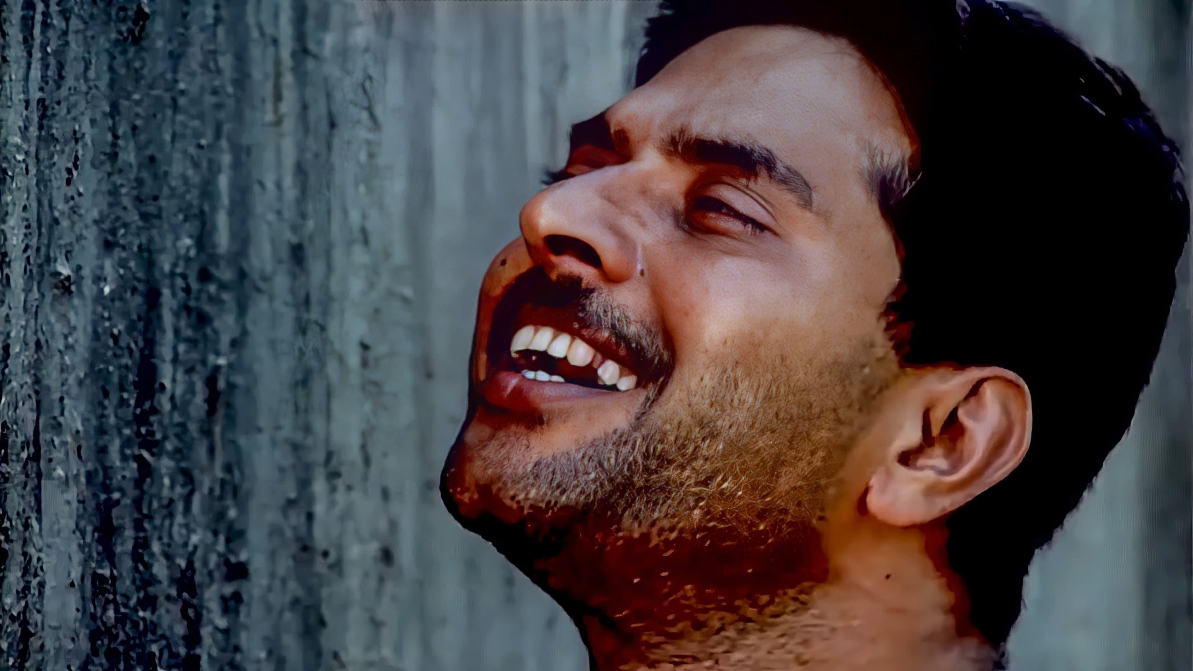 മതിലുകൾ - immagine