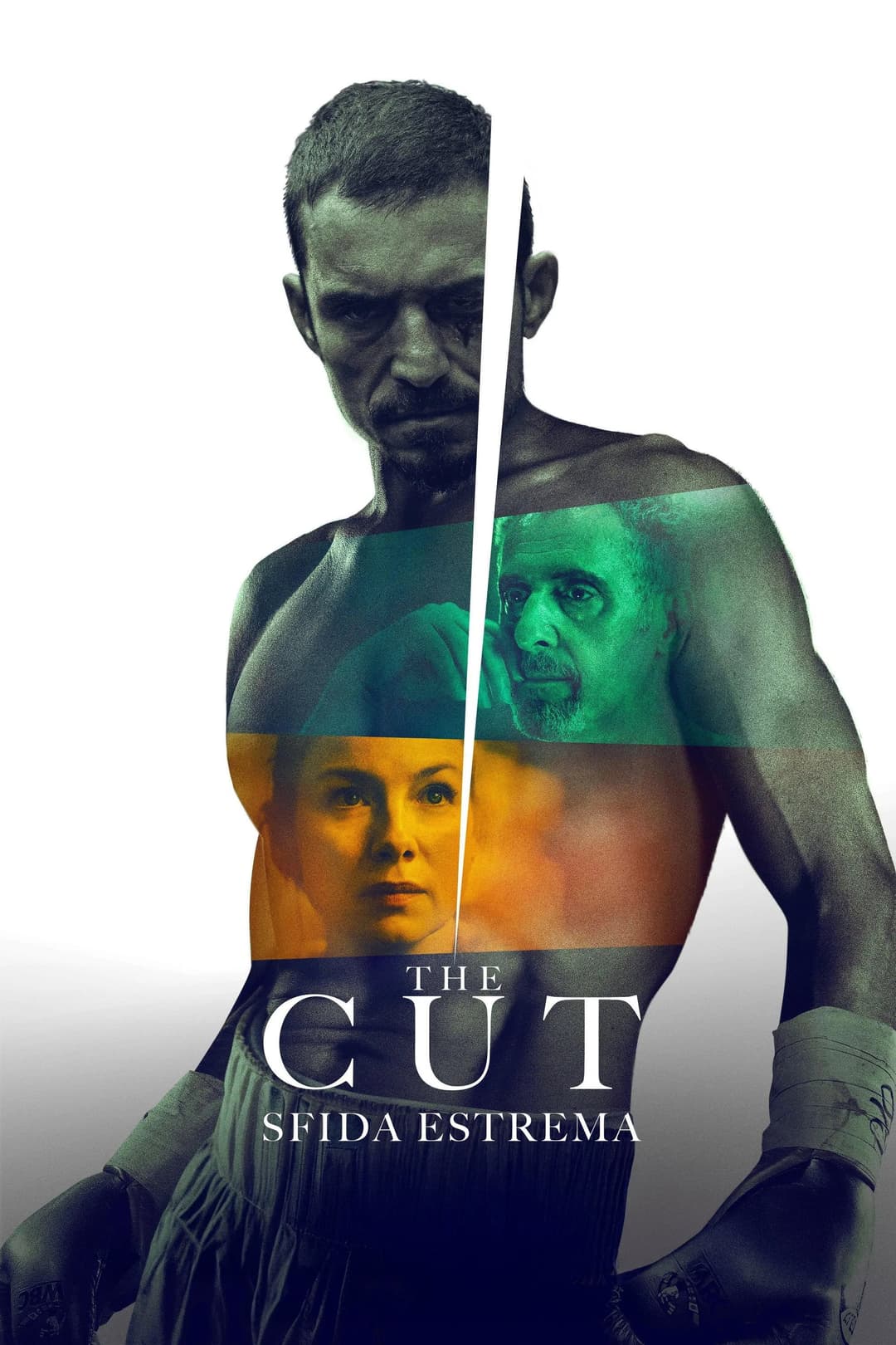 Poster di The Cut - Sfida estrema