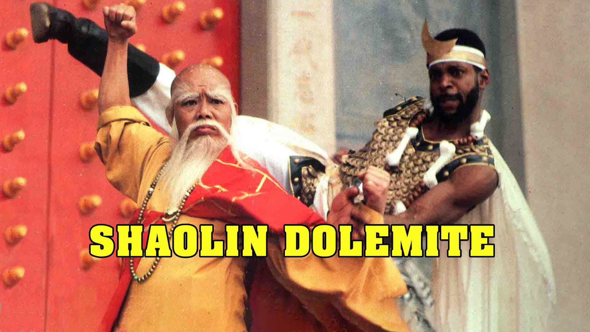 Shaolin Dolemite - immagine
