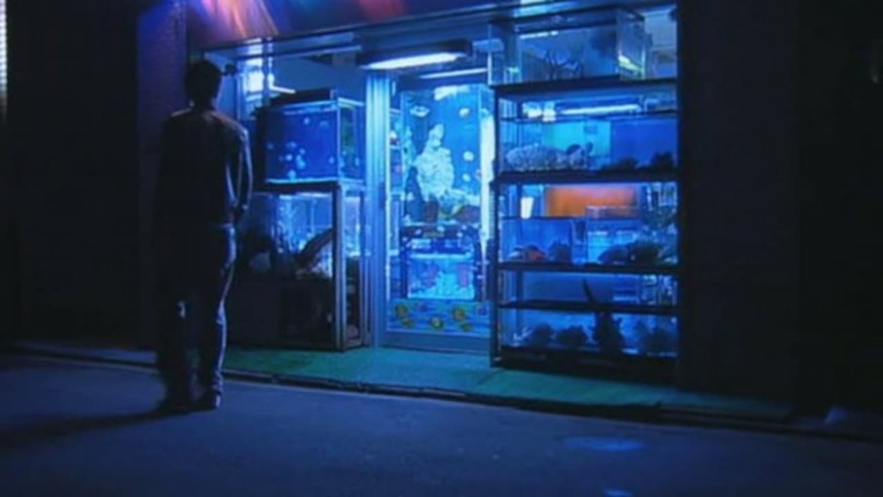 カクト - immagine