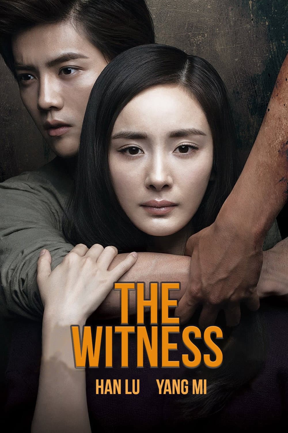 Poster di 我是证人