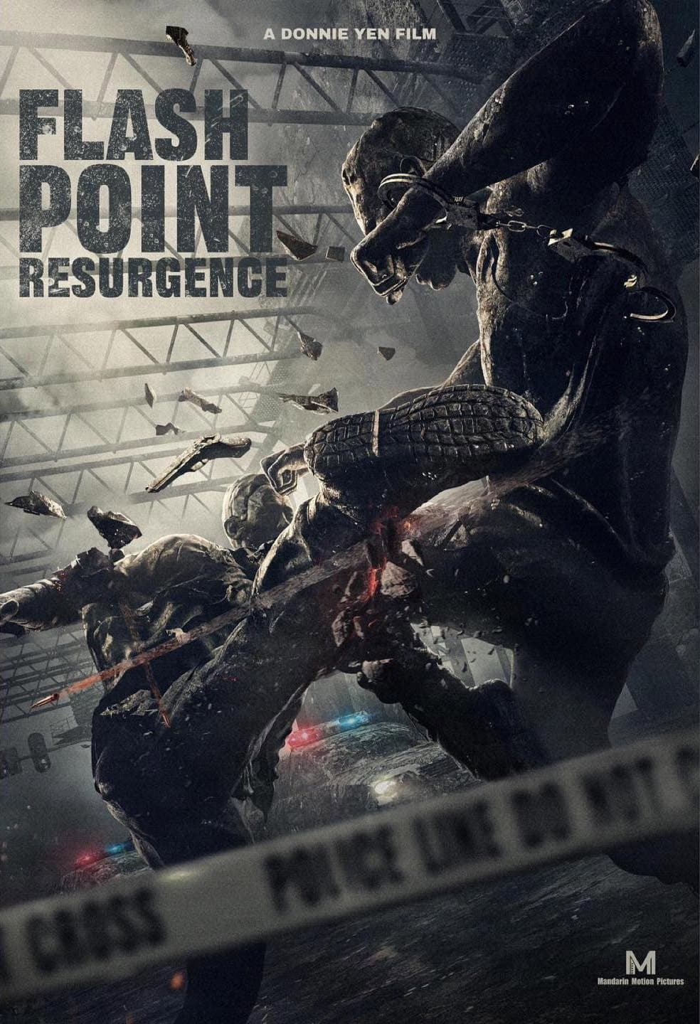 Poster di Flash Point: Resurgence