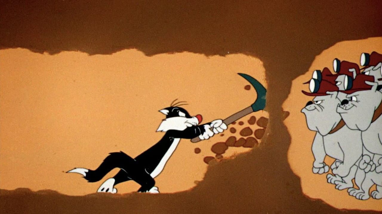 Cani,canili e canarini - immagine