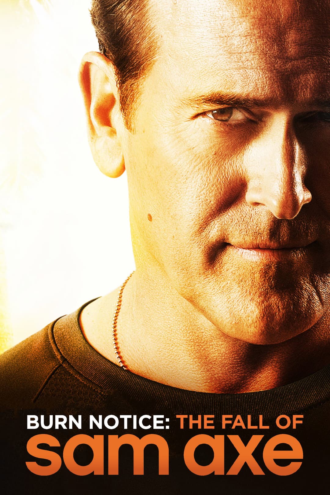 Poster di Burn Notice - La caduta di Sam Axe