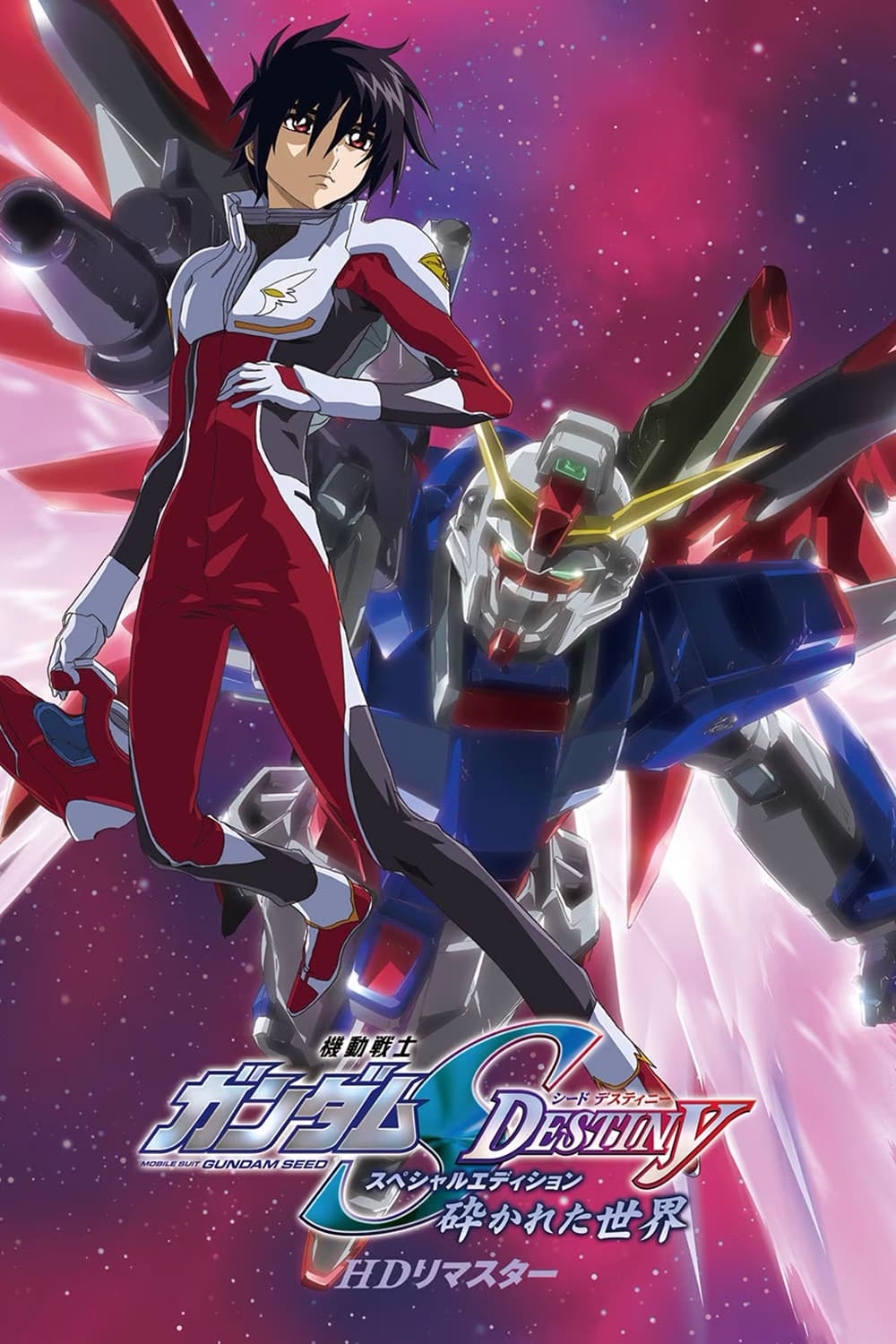 Poster di 機動戦士ガンダムSEED DESTINY スペシャルエディション 砕かれた世界