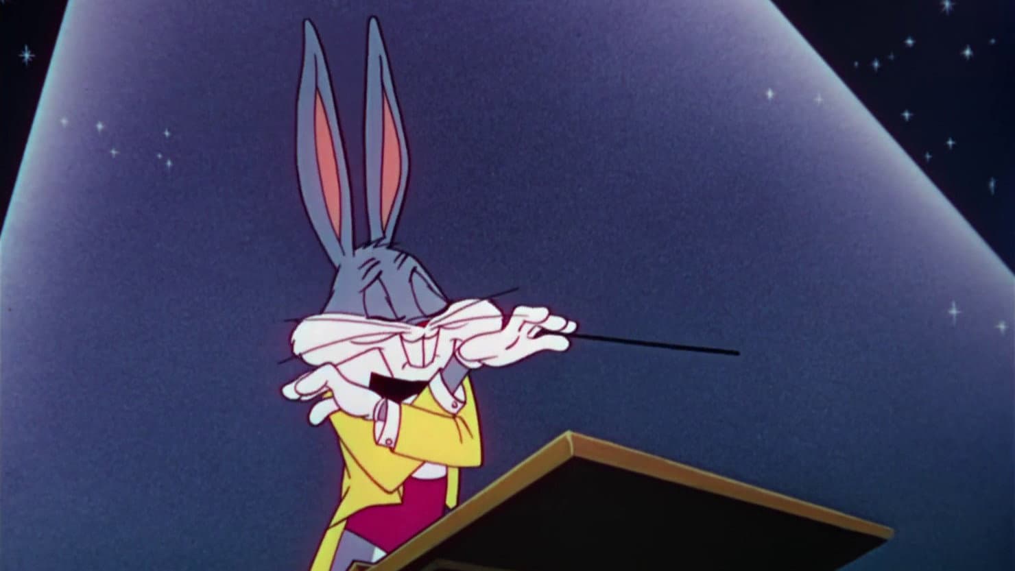 Il maestro Bunny - immagine