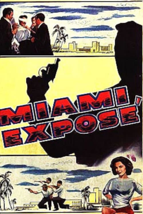 Poster di Miami Exposé