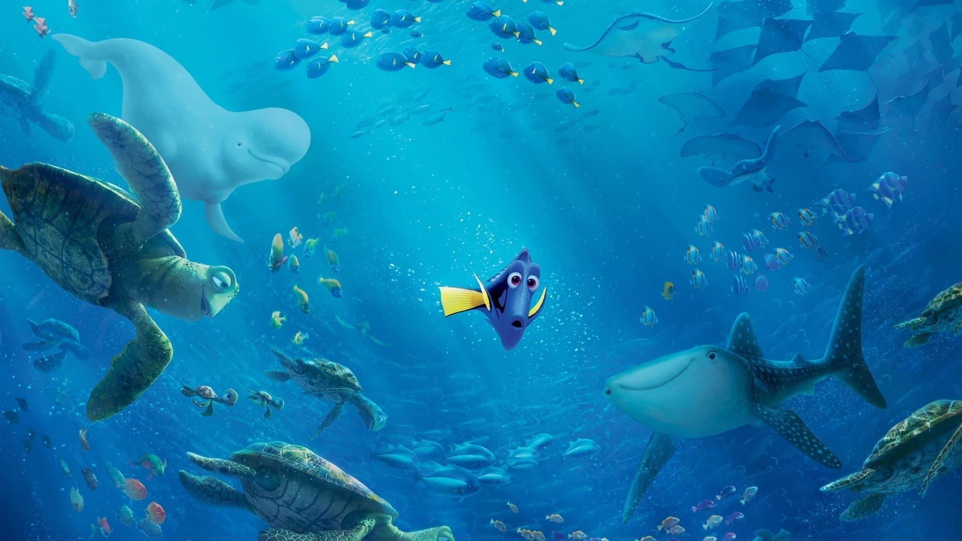 Alla ricerca di Dory - immagine