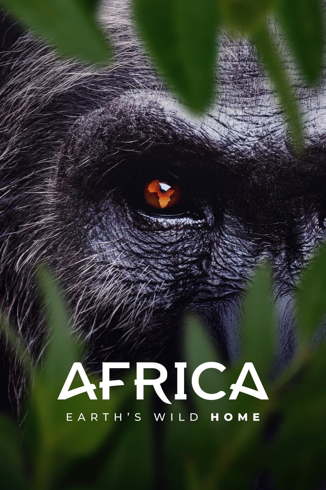 Poster di Africa Earth's Wild Home